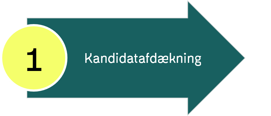 Kandidatafdækningen