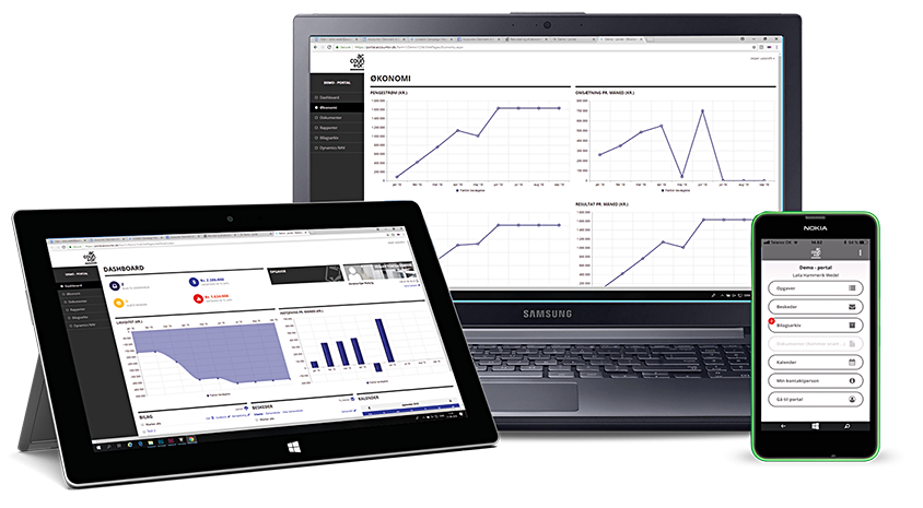 Accountor Online preview