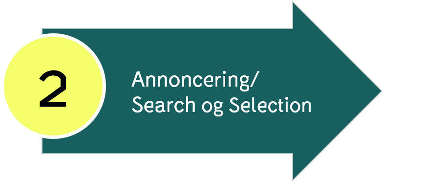 Search og Selection