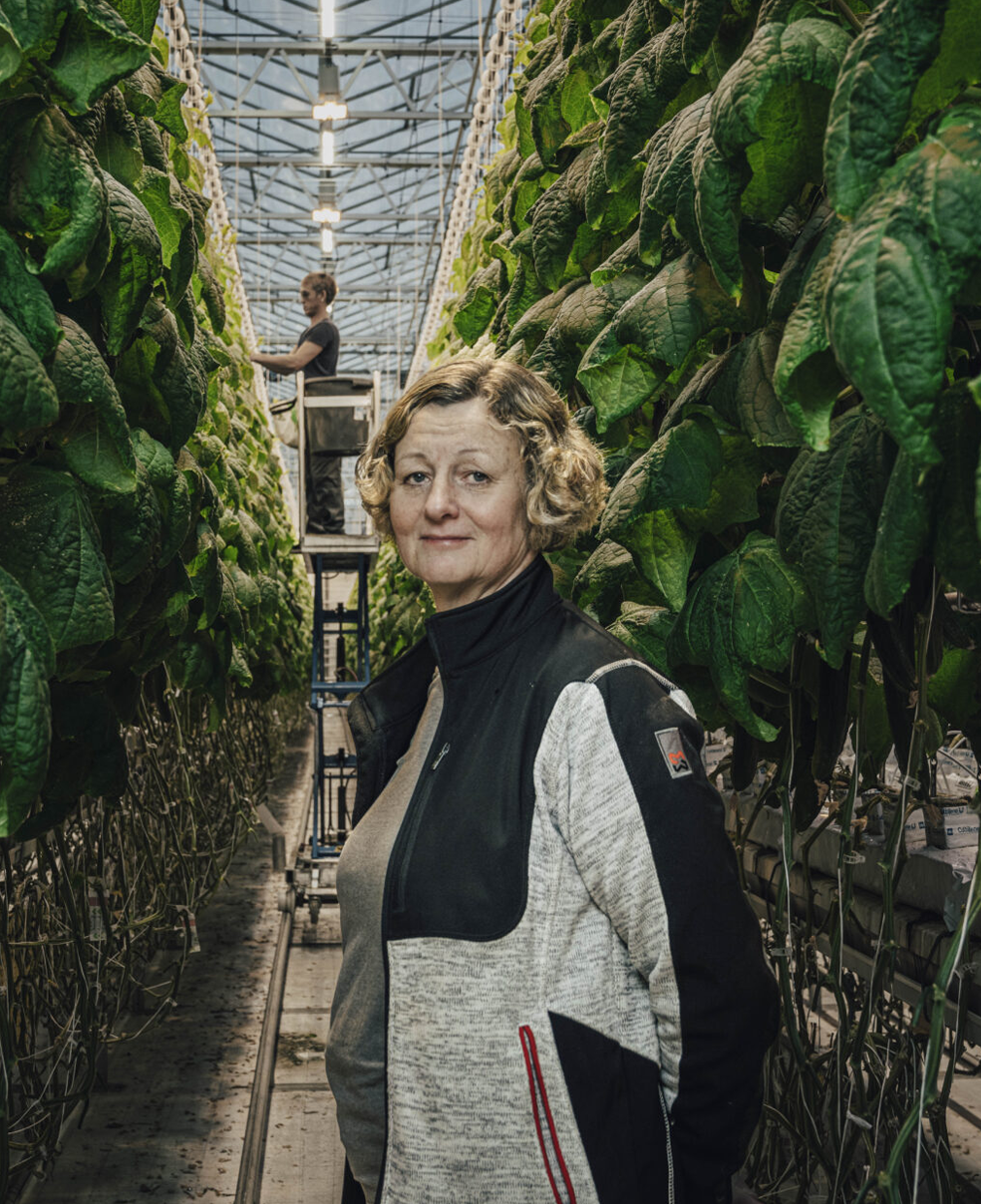 Accountor auttaa Noogaa menestymään