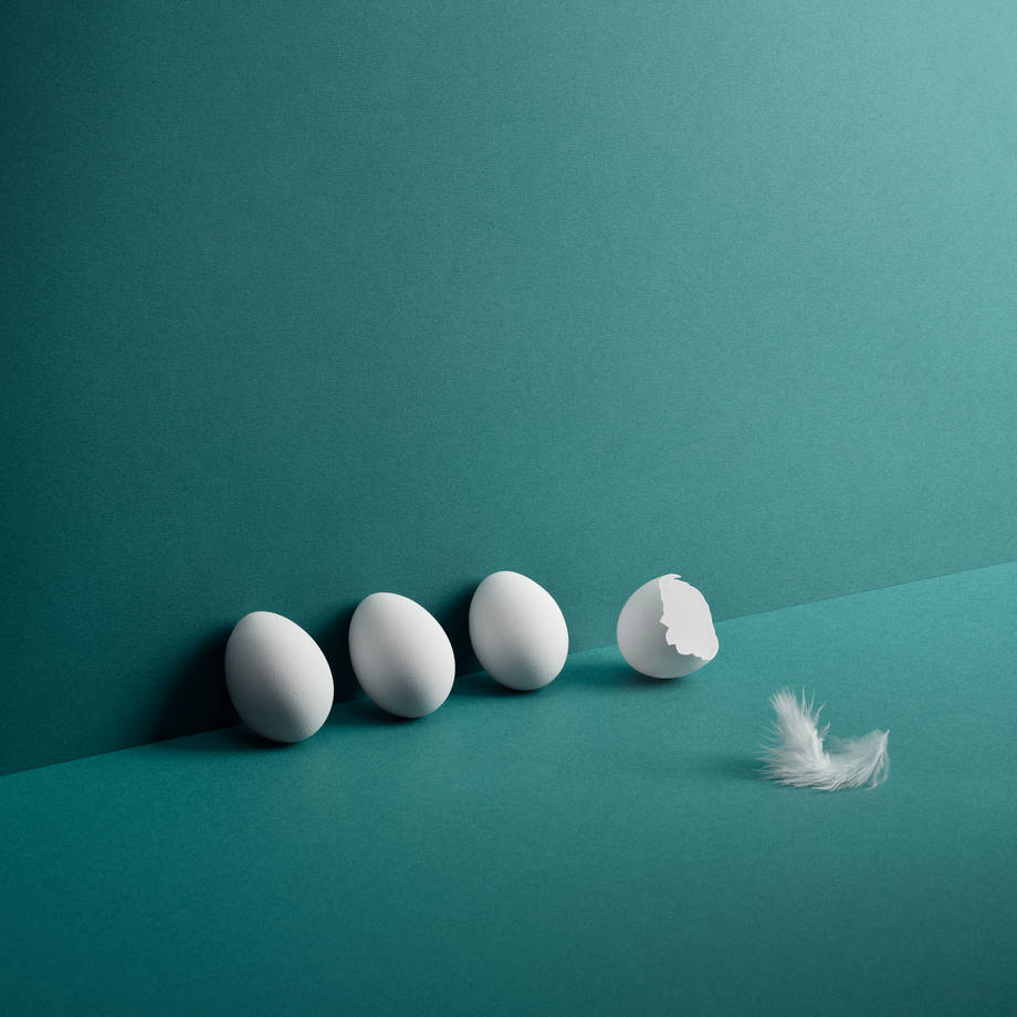 Eggs and hatching Accountor brand images