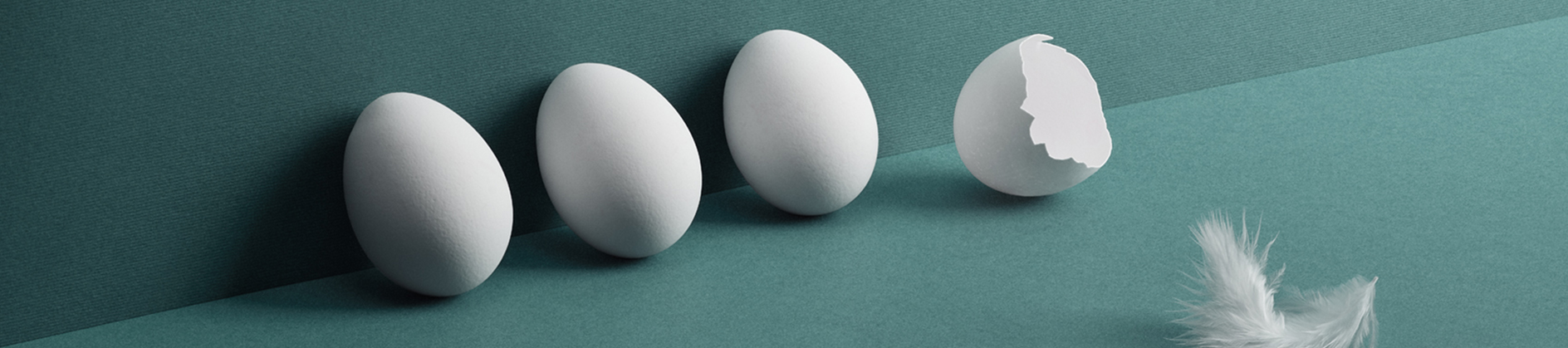 Company establishment Accountor brand