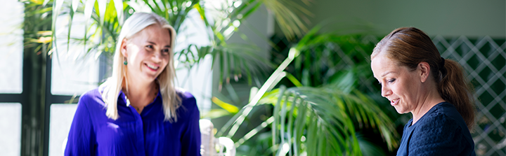 Financial Controller - Accountors kandidatprofiler november 2024