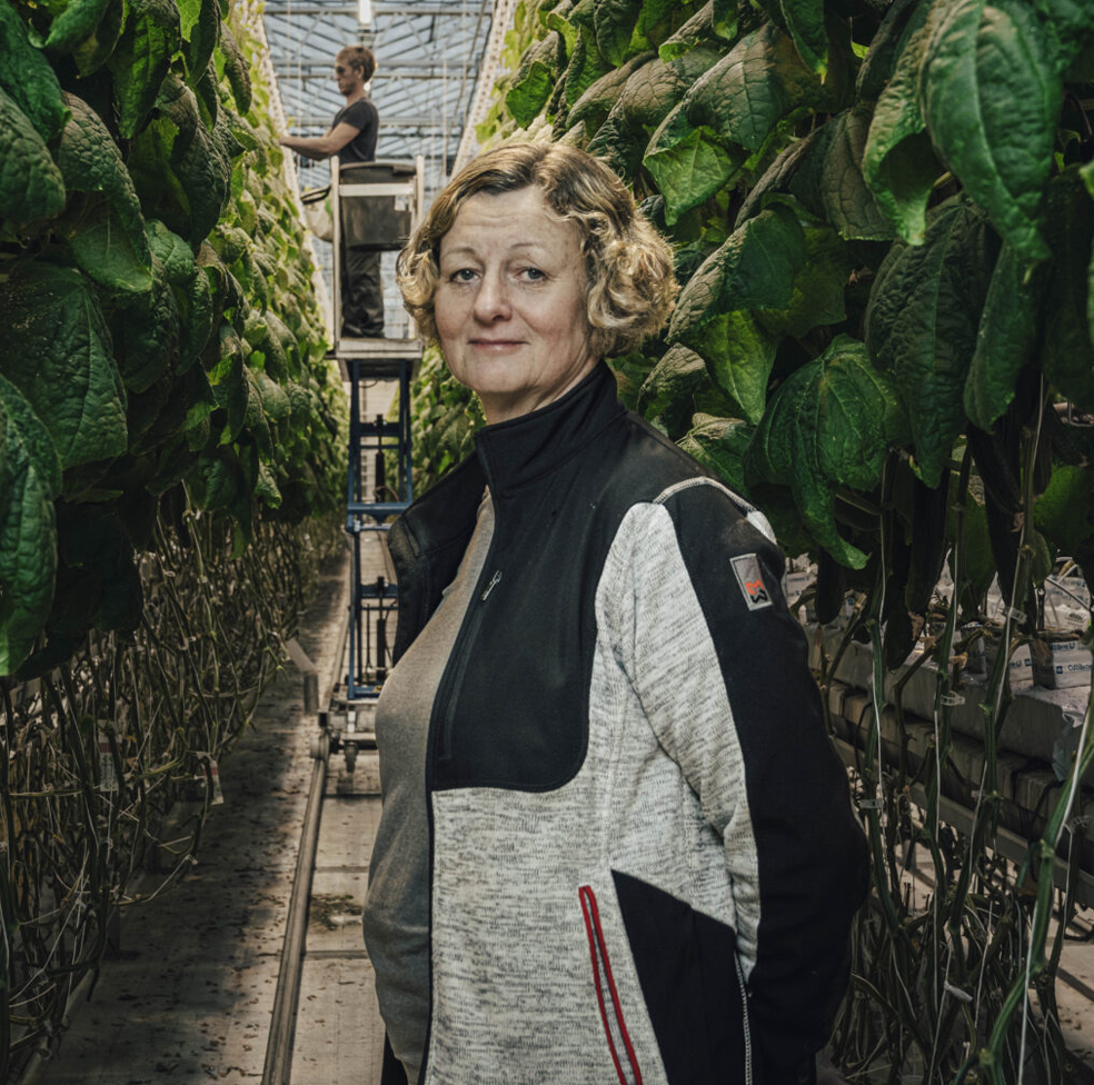 Harfs Handelsträdgård on Accountorin tyytyväinen asiakas