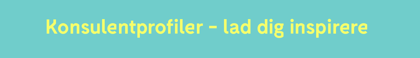 Kandidatprofiler økonomi og løn