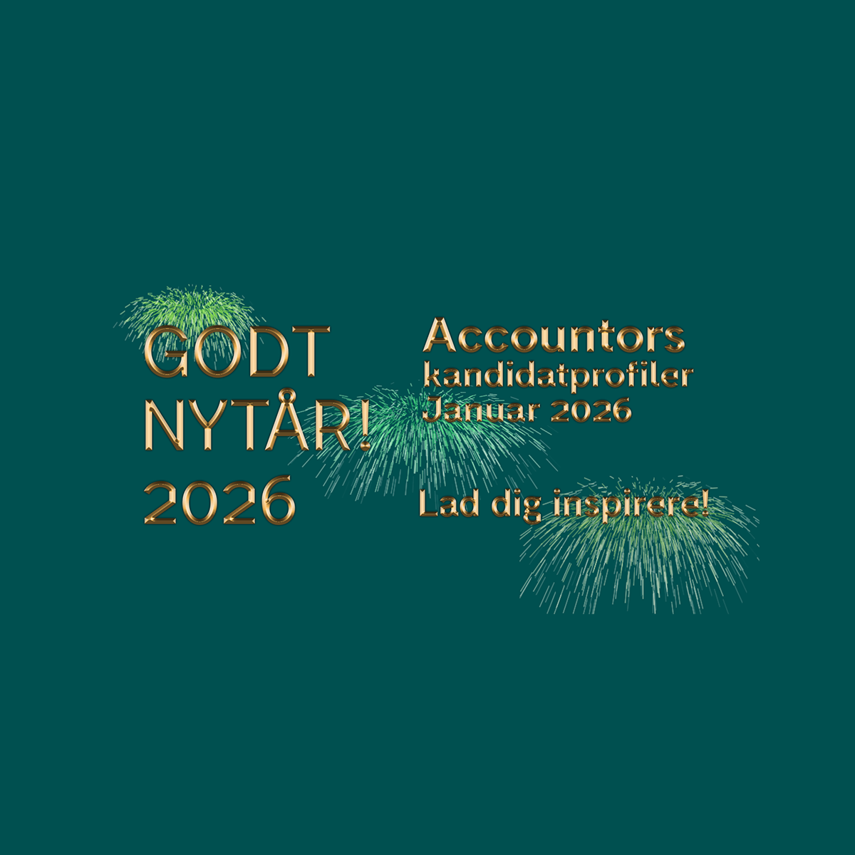 Økonomimedarbejder - Accountors kandidatprofil januar 2026