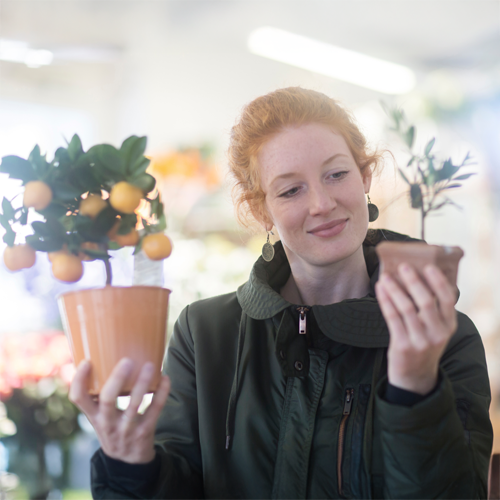 yrittajan-kirjanpito