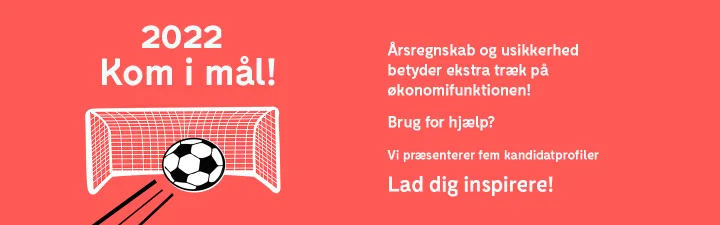 Kandidatprofiler økonomimedarbejdere - Accountor Denmark 