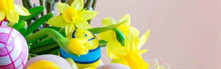 Påskeegg og påskeliljer 