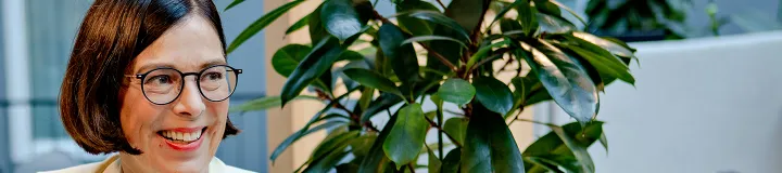 Interim opgaver - Accountor Denmark